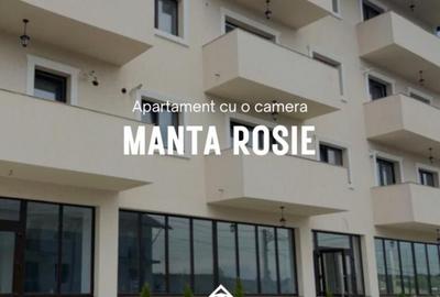 Apartament cu o camera | Finalizat | Manta Rosie - 1