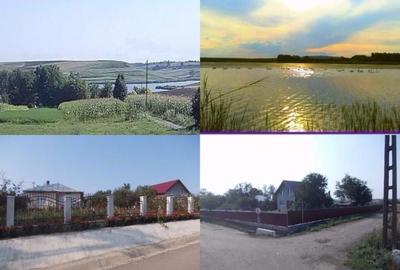 Casă cu 1 camere în Dragalina - 2