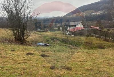 Teren Construcții intravilan de 7135 mp, în Negreni - 3