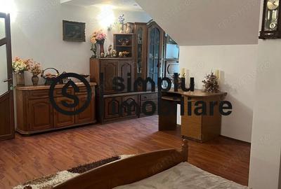 Vila S+P+1+M Lapus, str Paunitei - 11