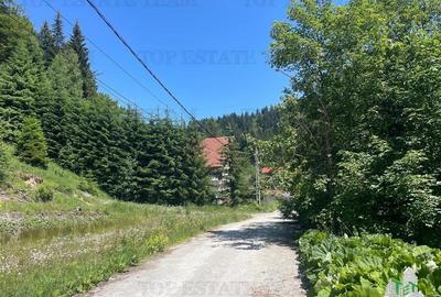 IDEAL INVESTITIE TEREN PREDEAL, 1936 mp intravilan, toate utilitatile, padure - 3
