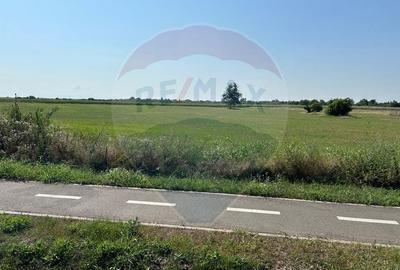 Teren Construcții intravilan de 20561 mp, în Vest - 6