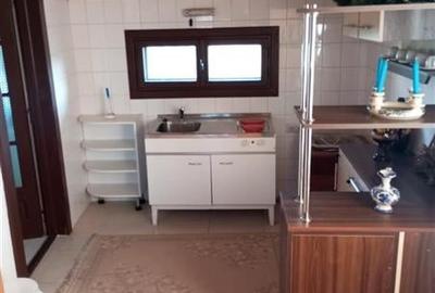 De vanzare casa mare , zona Brancoveanu, suprafata utile 350 mp - 16