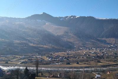 Teren de 765 mp, în Pârâul Pântei - 7