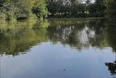 Iaz zona Udesti Iaz zona Udesti - 1