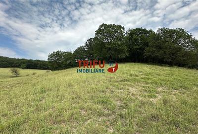 Teren cu priveliște și pădure pentru cabane de vânzare î Teren cu priveliște și pădure pentru cabane de vânzare î - 12