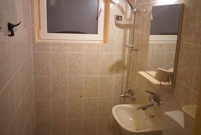 Apartament cu 2 camere decomandat, mobilat în Aviatorilor - 11