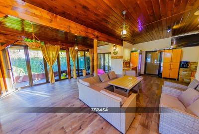 Casă individuală cu 4 camere cu Piscina în Independenței - 23