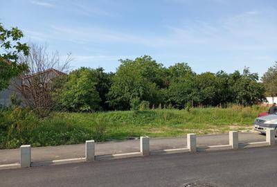 Teren de vanzare Chiajna Campului -intr. Trandafirilor - 1