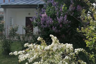 Casă cu 4 camere cu Teren 1758 Mp în Ștefănești - 1