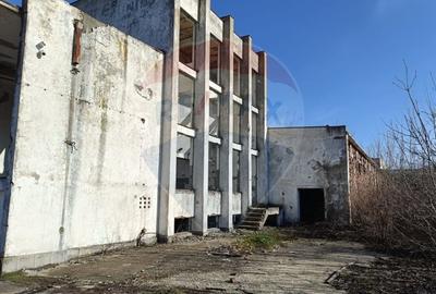 Spațiu industrial, de 5,000 mp, în Niculițel - 8