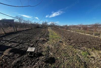 Casa cu 4 camere ?i gradina de 2700 mp, la doar 10 km de Bistri?a! - 3