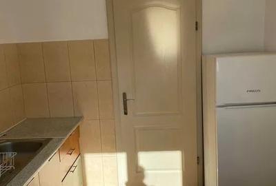 Apartament cu 1 camera, 40 mp, balcon, Buna-Ziua , Pet Friendly! - 6