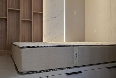 Apartament cu 2 camere semidecomandat, mobilat în Magheru - 2