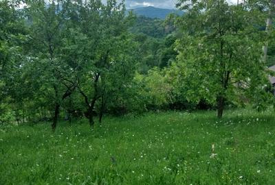 Teren de 3150 mp, în Poiana - 1