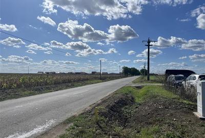 RECO Teren intravilan cu PUZ aprobat-Livada de Bihor - 8