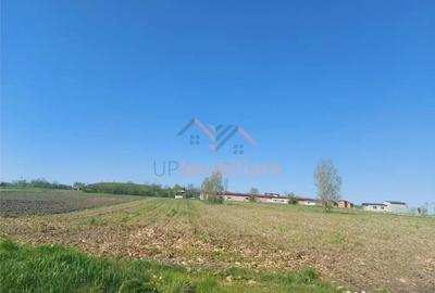 Teren de 4367 mp, în Hidiș - 1