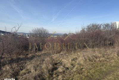 Teren de 4000 mp, în Europa - 2