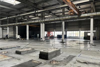 Depozit/hala/spatiu industrial Militari - Timisoara - 2