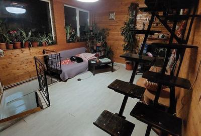 Casă cu 6 camere cu Teren 750 Mp în Clinceni - 9