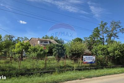 Casă cu 3 camere în Racameț - 13