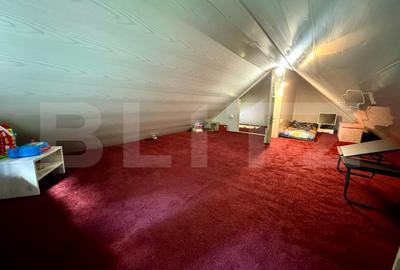 Cabana de vanzare in Poiana Horea Belis P+E+M - 6