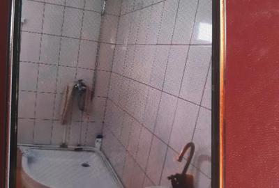 Casă cu Teren 2000 Mp în Paltin - 1