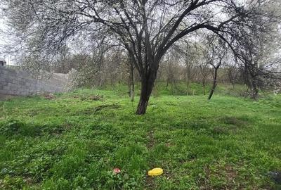 Casă cu 3 camere în Vinerea - 2