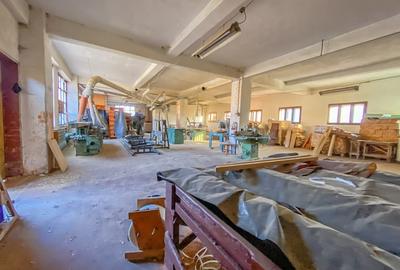 Spațiu industrial, de 1,473 mp, în Tulgheș - 6