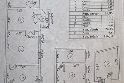 Casa cu 9 camere, Parcul Carol - 1