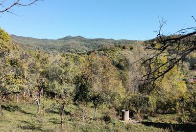 Teren cu priveli?te superba , livada ?i poten?ial casu? - 3