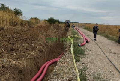 Teren Construcții intravilan de 42000 mp, în Cernica - 11