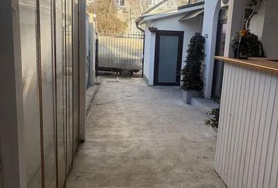 Spațiu comercial, de 244 mp, în Lizeanu - 3