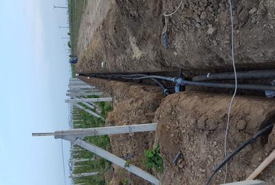 Teren de 60000 mp, în Albina - 3