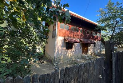 Vand sau schimb casa zona munte - 1