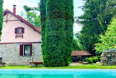 Pensiune cu 13 camere de vanzare in Bulz - 44