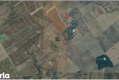 Teren de 5800 mp, în Scurtu Mare - 8