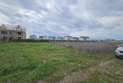 Magurele, Varteju - 4