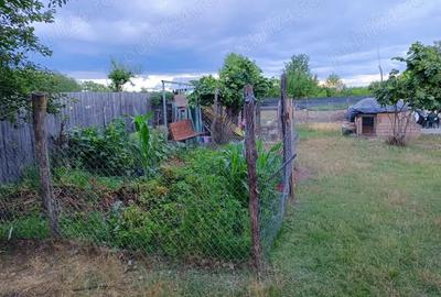 Casă cu 3 camere cu Teren 3000 Mp în Români - 2