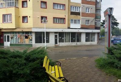 Spațiu comercial, de 101 mp, în Caransebeș