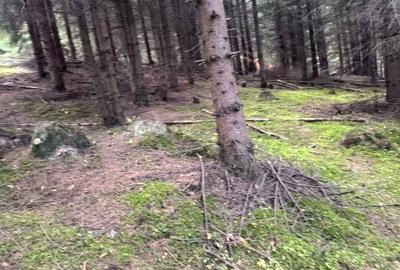 Vanzare 5,3 ha pasune deasupra Voronetului Suceava - Proiect Turistic - 33