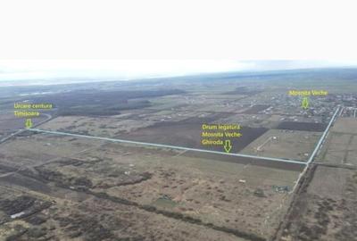 Teren Construcții intravilan de 811 mp, în Moșnița Nouă - 3