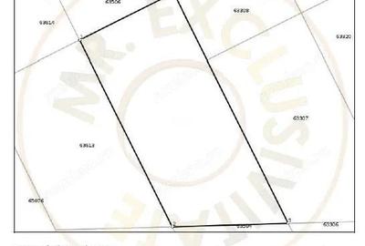 Teren Intravilan pe Strada Bega/Com. Berceni Loca?ia Perfecta pentru Casa Ta - 3