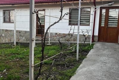 Casă în Central - 8