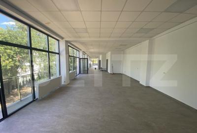 Spațiu comercial, de 240 mp, în Brazda lui Novac - 1