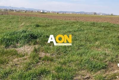 Teren Construcții intravilan de 480 mp, în Partoș - 2