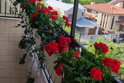 Vanzare apartament 5 camere, cartier Gheorgheni, Cluj-Napoca. Vanzare apartament 5 camere, cartier Gheorgheni, Cluj-Napoca. - 6