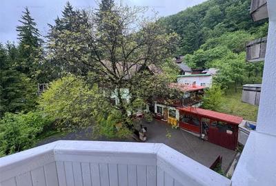 Apartament 2 camere in statiunea balneara Sovata - 8