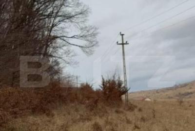 Teren de 3300 mp, în Sălicea - 4