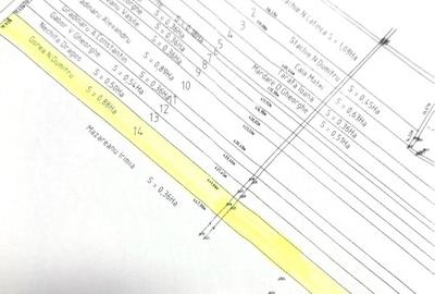 8800 mp Dumbrava Roșie, Neamț - 3